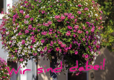 Mit modernen Reisebussen geht es ins Münsterland.