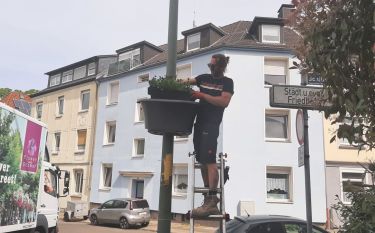 St. Lucia kommt mit ihrem 30köpfigen Gefolge